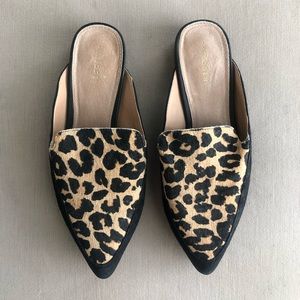 Halogen Leopard Mules